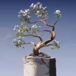 Evaluate-Business-Ideas-7-Questions-That-Actually-Work-novagrowth.io