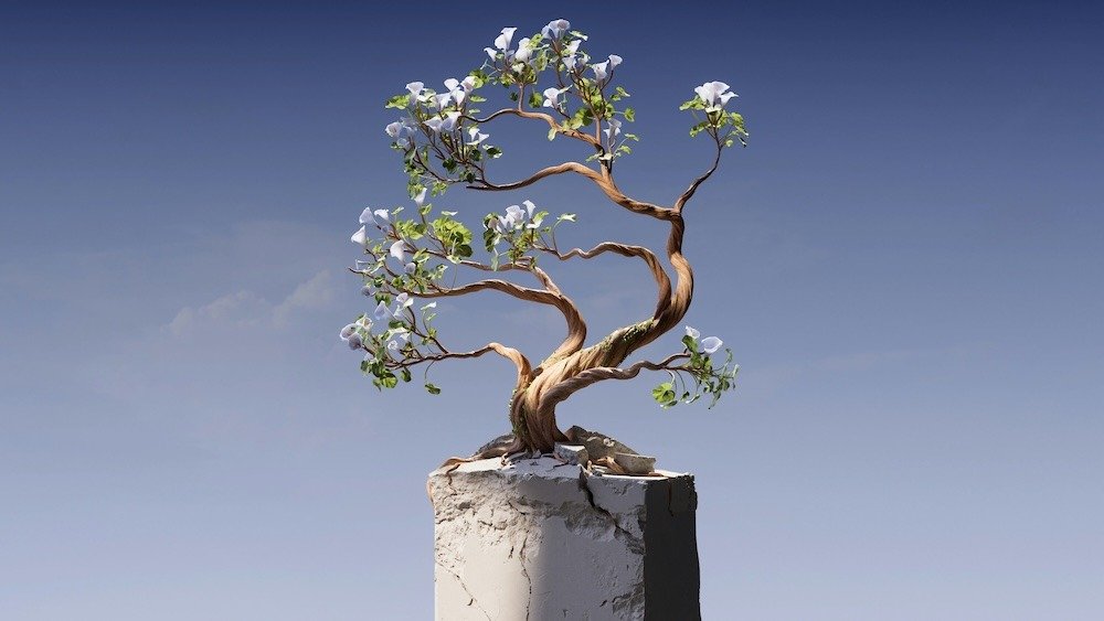 Evaluate-Business-Ideas-7-Questions-That-Actually-Work-novagrowth.io